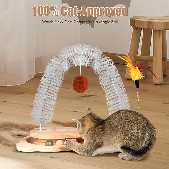 Cat Self Groomer, Cat Grooming Brush Scratcher Massager Arch for Indoor Cats Face Back Scratcher Rubbing Post Corner Brush w/ Kitten Interactive Catnip Ball Track Toy for Chasing Hunting Exercise