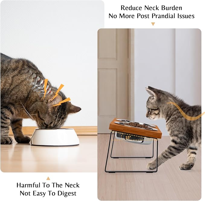 Elevated Cat Food Bowl for Indoor Cat, Brown Raised Water Bowl Set for Pet | Whisker Friendly, Anti Vomit, Feeding Station for Puppy, Stainless Steel, Pet Dish, Easy Assembly, Bamboo, Dishwashers Safe