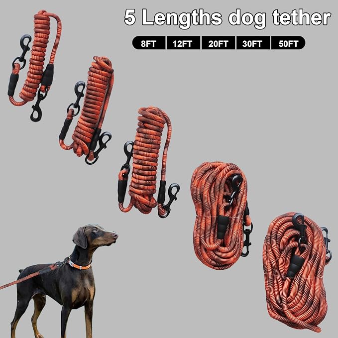 BTINESFUL Dog Tie Out Long Tether Rope Dog Lead for Yard 8/12/20/30/50/75ft | Check Cord Training Dog Line for Large Medium Small Dogs Outdoor Playing, Camping, or Backyard (12ft, Orange Black)
