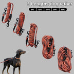 BTINESFUL Tie-Out Check Cord Long Rope Dog Leash, 8ft 12ft 20ft 30ft 50ft 75ft Recall Training Dog Lead, Large Medium Dogs Tether for Outdoor Playing, Camping, or Backyard (50ft, Orange Black)