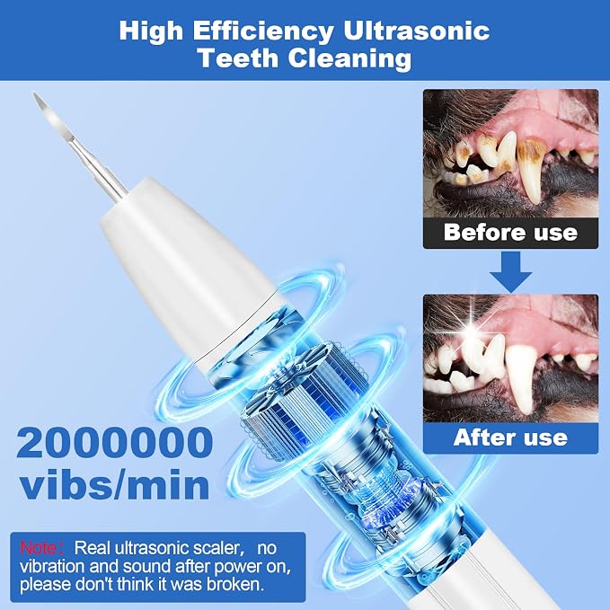 Dog Teeth Cleaning Kit,Dogs Tooth Brushing Kit with Light,3 Modes Doggie Toothbrush (Cloud White)