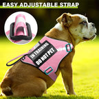Service Dog Harness and Leash Set, Training Dog Vest with 10 Dog Patches, Emotional Support Therapy Dog Vest Harness for Small Medium Large and Extra Large Dogs(Pink, M)