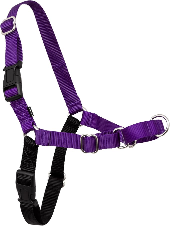PetSafe Easy Walk No-Pull Dog Harness - Ultimate Harness to Help Stop Pulling - Pull-Free Walks - Take Control & Teach Better Leash Manners - Patented Martingale Loop Design - Deep Purple,Small/Medium