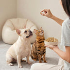 Freeze-Dried Salmon Treats for Dogs and Cats, 10.6 oz | Single Ingredient, High Protein Recipe, Grain-Free Snack, Food Topper Use, Training Treats