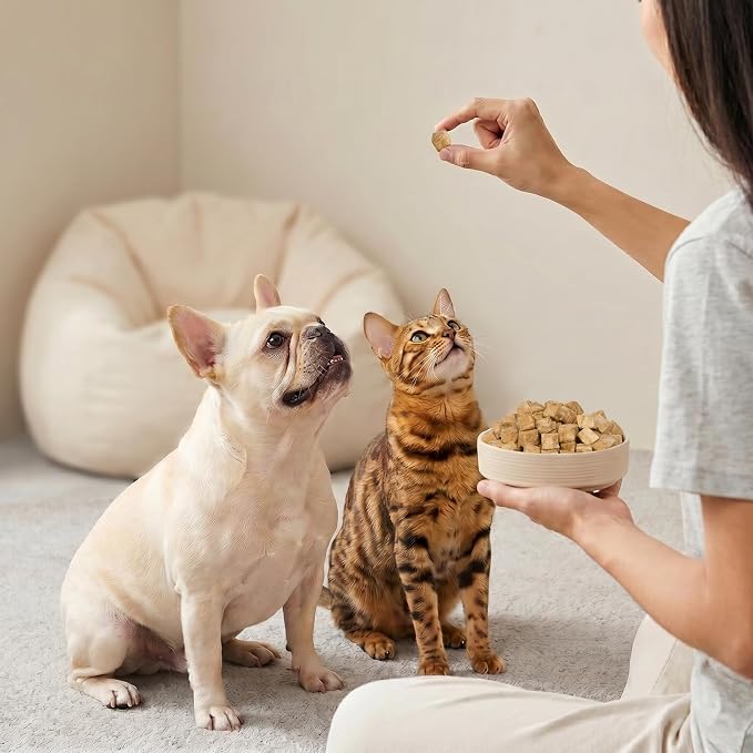 Freeze-Dried Salmon Treats for Dogs and Cats, 10.6 oz | Single Ingredient, High Protein Recipe, Grain-Free Snack, Food Topper Use, Training Treats