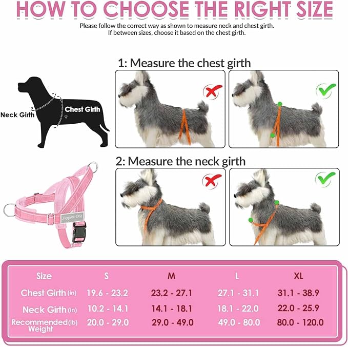 Lukovee No Pull Dog Harness and Leash Set - Adjustable Soft Padded Vest with Front Clip for Easy Control, Reflective Durable Harness for Safe Daily Training Walking for Medium Large Dogs (S, PI)