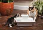 PetSafe Drinkwell Pagoda Fountain, Filters Included, 70 oz Ceramic, White | 2 Free-Falling Water Streams Encourage Hydration, Pet Water Fountain for Cats & Small Dogs, Replaceable Carbon & Foam Filters