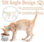2 Pack Ceramic Elevated Cat Bowls, 6" Extra Wide Tilted Raised Pet Dish, Whisker Friendly Food and Water Bowl for Small Dogs, Anti Vomiting & Protect Pet's Spine, Microwave Dishwasher Safe
