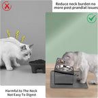 Summark 2Pack Elevated Cat Bowls with Food Mat,15°Tilted Stand Anti Vomiting Raised Cat Dishes for Food and Water,2 Stainless Steel Bowls for Cats and Puppy,Black