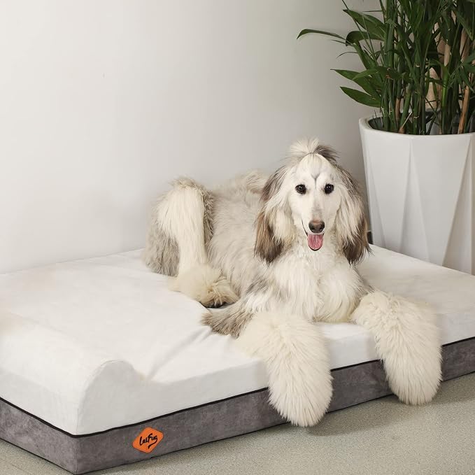 Laifug Orthopedic Dog Beds for Large Dogs,7" Memory Foam Dog Beds,Durable Water Proof Liner Removable and Washable, Nonskid Bottom, Dark Grey 50"x36"x10"