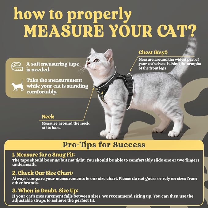 rabbitgoo Cat Harness and Leash Set, Escape Proof Vest, Lunar Prowl | Soft Breathable Mesh, Easy Adjustable Fit, Snap Buckles, Sturdy Clip, Reflective Strips, for Medium to Large Cats Walks, M