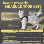 rabbitgoo Cat Harness and Leash Set, Escape Proof Vest, Lunar Prowl | Soft Breathable Mesh, Easy Adjustable Fit, Snap Buckles, Sturdy Clip, Reflective Strips, for Kittens & Small Cats Walks, Xxs