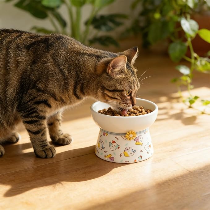 Elevated Ceramic Cat Bowls, 15°Raised Cat Food Bowl, Whisker Friendly Anti Vomiting Cats Dishes, Anti Vomiting & Protect Pet's Spine, Feeder Dish for Indoor Kitty and Small Dogs (Cat Pattern)