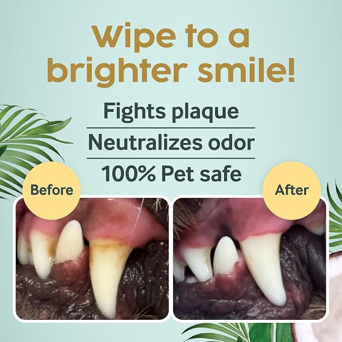 Cocopup Dog & Cat Dental Wipes, Coconut Oil Finger Toothbrush Cleaner | Coconut oil-infused finger wipes for dogs and cats; helps clean teeth, freshen breath, and wipe ears, nose, paws, and fur.