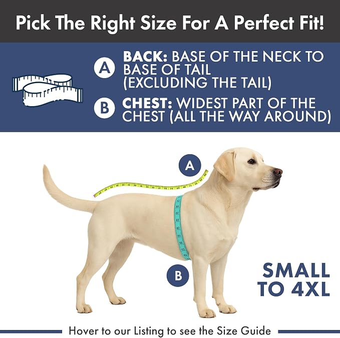 Spark Paws Dog Christmas Pajama, Dog Recovery Suit Male, Onesie, Ultra-Soft and 4-Way Stretch, for Small Medium and Large Breeds - Gingerbread Man - L