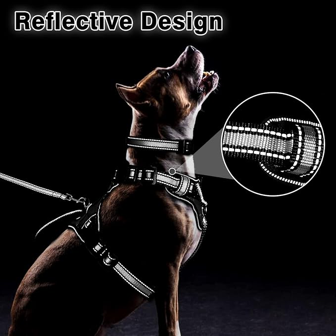 WINSEE Pet Harness Collar and Leash Set, All-in-one Reflective Dog Harness No Pull with Adjustable Buckles for Puppies, Small, Medium, Large, and Extra-Large Dogs (Medium, Black)