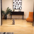 Clear Acrylic Freestanding Dog Gates for the House – Folding 4-Panel Pet Gates for Doorways, Stairs, and Rooms, Transparent Indoor Barrier for Dogs, Puppies, and Cats