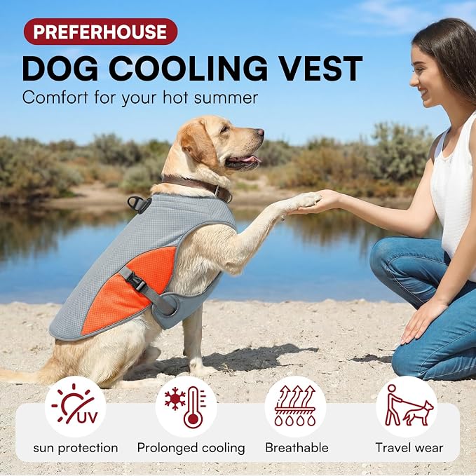 Dog Cooling Vest for Medium Dogs, Dog Cooling Jacket with Mesh and D Ring, Pet Reflective Stripe Jacket for Summer, Orange-M