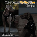 rabbitgoo Escape Proof Dog Harness for Large, No Pull with Lift Handle | No Escape, Full Soft Padded, Reflective Adjustable Vest, Leash Clip for Walking Hiking Training, Black, Large