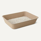 Amazon Basics Disposable Cat Litter Box, Travel & Home, Large 14.4"x18.1", 6-Pack