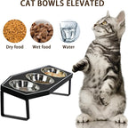 Gothic Cat Food Bowls Elevated, Raised Cat Bowls for Indoor, Non-Slip Stand & Wood Board, Stainless Steel and Whisker Friendly Food Bowls (Cat Bowl*3)