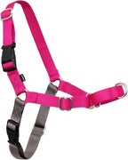 PetSafe Easy Walk No-Pull Dog Harness - The Ultimate Harness to Help Stop Pulling - Take Control & Teach Better Leash Manners - Helps Prevent Pets Pulling on Walks - Small/Medium, Raspberry/Gray