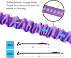 6FT Highly Reflective Heavy Duty Elastic Bungee Medium and Large Dog Leash Shock Absorbing with Comfortable Padded Handle and Traffic Handle Suitable for Training