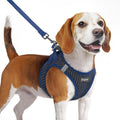 Eagloo Small Dog Harness and Leash Set, Step in Medium Small Puppy Pet Vest | Light, Soft, Breathable Air Mesh, Easy on and off with Hook & Loop, Reflective for Safe Walking, Navy Blue, M