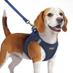 Eagloo Small Dog Harness and Leash Set, Step in Medium Small Puppy Pet Vest | Light, Soft, Breathable Air Mesh, Easy on and off with Hook & Loop, Reflective for Safe Walking, Navy Blue, M