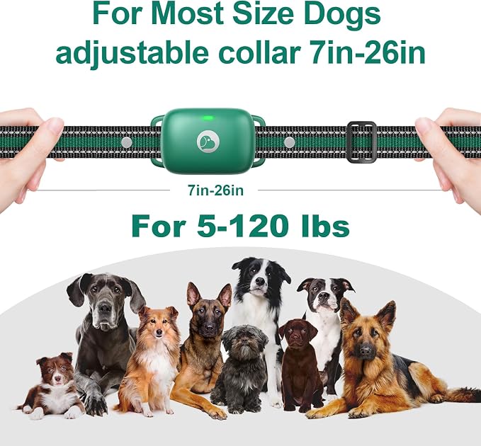 Touch-Screen Dog Shock Collar, 2600FT Range, IPX8 Waterproof | Dog Training Collar With Remote, Rechargeable E-Collar, Security Lock, Beep/Vibration/Shock Modes Fits All Breeds and Sizes