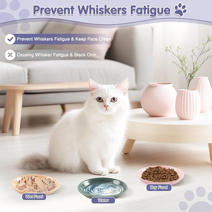 6 Pack Cat Food Bowl, Ceramic Cat Bowls, Anti Whisker Fatigue Cats Bowl Set | 5.5 Inches Shallow Wide Kitten Plates for Food and Water (CaiSe-B)
