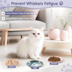 6 Pack Cat Food Bowl, Ceramic Cat Bowls, Anti Whisker Fatigue Cats Bowl Set | 5.5 Inches Shallow Wide Kitten Plates for Food and Water (CaiSe-B)