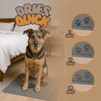 Quinn Essentials Dog Water & Feeding Mat Fast-Dry Diatomaceous Stone Tray for Bowls, Anti-Slip, Spill Control, Cleaner Area, Cat Feeding Tray, Travel Pet Mat