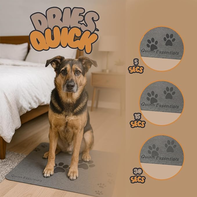 Quinn Essentials Dog Water & Feeding Mat Fast-Dry Diatomaceous Stone Tray for Bowls, Anti-Slip, Spill Control, Cleaner Area, Cat Feeding Tray, Travel Pet Mat