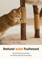 Letkind Modern Cat Tree Tower for Large Indoor Cats, Perches-Natural Solid Wood Cat Tower with Sisal Scratching Post, Perches, Hammock & PlayBalls, Aesthetic Boho Cat Furniture