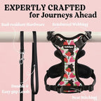 rabbitgoo Cat Harness and Leash Set, Escape Proof Vest, Berry Pounce | Soft Breathable Mesh, Easy Adjustable Fit, Snap Buckles, Sturdy Clip, Reflective Strips, for Kittens & Small Cats Walks, Xxs