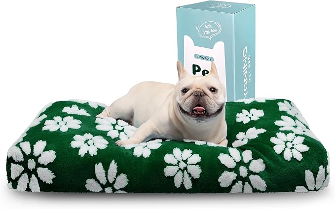 Cute Fluffy Dog Beds for Small Medium Dogs, 30"x 20", Green Flower | Thick Dog Bed for Crate Kennel, Pet Bed with Removable Washable Cover, Anti-Slip Bottom