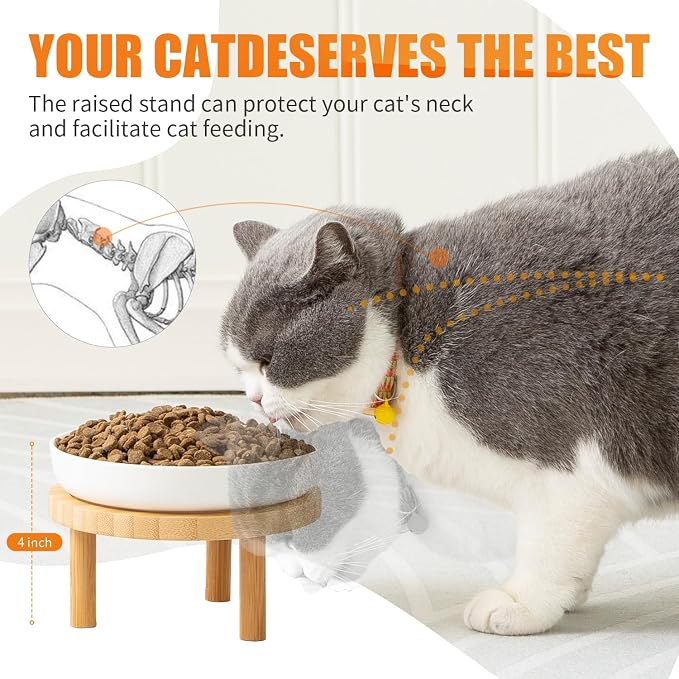 Lusifaco Shallow Wide Elevated Cat Bowls Whisker Fatigue (Blue,Set of 2) | 5.9 Inch 2 Height Raised Ceramic Cat Dishes with Bamboo Stand, Flat Pet Water Food Plates Feeding Station for Indoor Kitten