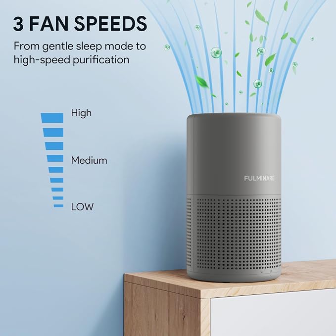FULMINARE Air Purifiers for Bedroom H13 True HEPA Air Filter (Gray) | Remove Pet Hair, Smoke, Odors，Quiet Air Cleaner With Night Light, Portable Small Air Purifier for Home, Office, Living Room