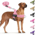 SlowTon No Pull Dog Harness - Heavy Duty Dog Harness and Leash Set for Medium Large Dogs, Reflective Tactical Harness with Soft Padded and Front Clip for Easy Walk and Training (PI, XL)
