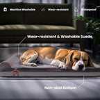 Laifug Orthopedic Dog Beds for Large Dogs,3" Memory Foam Dog Beds,Durable Water Proof Liner Removable and Washable, Nonskid Bottom,Grey 40"x25"x5.5"
