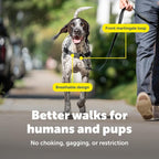PetSafe Easy Walk Harness for Dogs - Pull-Free Walks - Patented Martingale Loop Design - Front Chest Leash Attachment - Comfort Straps - Breathable Harness Design - Medium/Large, Black/Silver