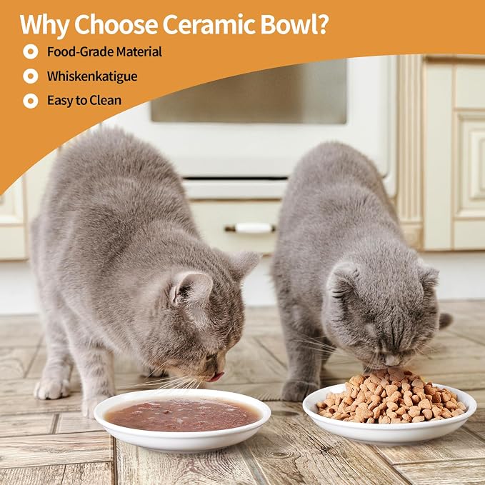 5.9 inch Ceramic Cat Bowls,Wide Shallow Dishes,Whisker-Friendly Plates,Food and Water Bowl for Indoor Cats,-10 oz,3 Pack