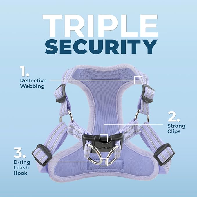Voyager Step-in Flex Adjustable Dog Harness - Lavender, X-Small | 13 - 16" in Chest, Fully Adjustable, Reflective Bands, All Weather Breathable Air Mesh, Lightweight, Fast Drying