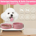 Elevated Slow Feeder Dog Bowls with Splash Proof Stand, Slow Eating 5X | 6.5″ Dog Slow Feeding Bowls & 6.1″ Dog Food Dish, Non-Slip Raised Food and Water Bowl Set for Small and Medium Breeds, Pink