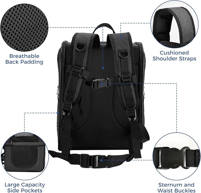 Apollo Walker Dog & Cat Carrier Backpack for 4-18lb Pets - Ventilated Safe Design with Padded Back Support, Breathable Mesh Pet Backpack for Hiking, Travel, Outdoor (Black)