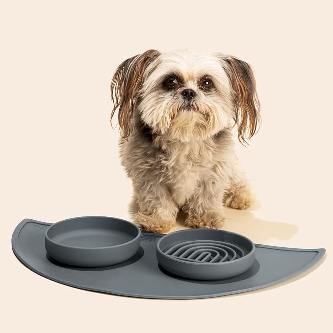 Slow Feeder Dog Bowls - Small Size Silicone Slow Eating Dog Bowl for Puppies & Dogs with Suction Cup -Dishwasher-Safe,Lick Mat Design,Reduces Gulping, for All Breeds, 6”x1.25”- Charcoal