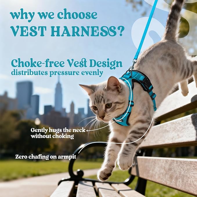 rabbitgoo Cat Harness and Leash Set, Escape Proof Vest, Teal | Soft Breathable Mesh, Easy Adjustable Fit, Snap Buckles, Sturdy Clip, Reflective Strips, for Small & Average Cats Walks, Xs