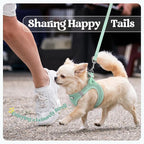 rabbitgoo Dog Harness Small Sized and Leash Set, Step-in Puppy Pet Vest | Light, Soft, Breathable Air Mesh, Easy on and Remove with Hook & Loop, Secure Reflective for Walking, Moss Green S