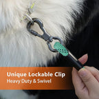 NTR Long Dog Leash, 100FT Check Cord with with 2 Swivel Hooks and Soft Rubber Handle for Pink Leash for Small Medium and Large Dogs Walking Training Hiking Camping Playing-Teal